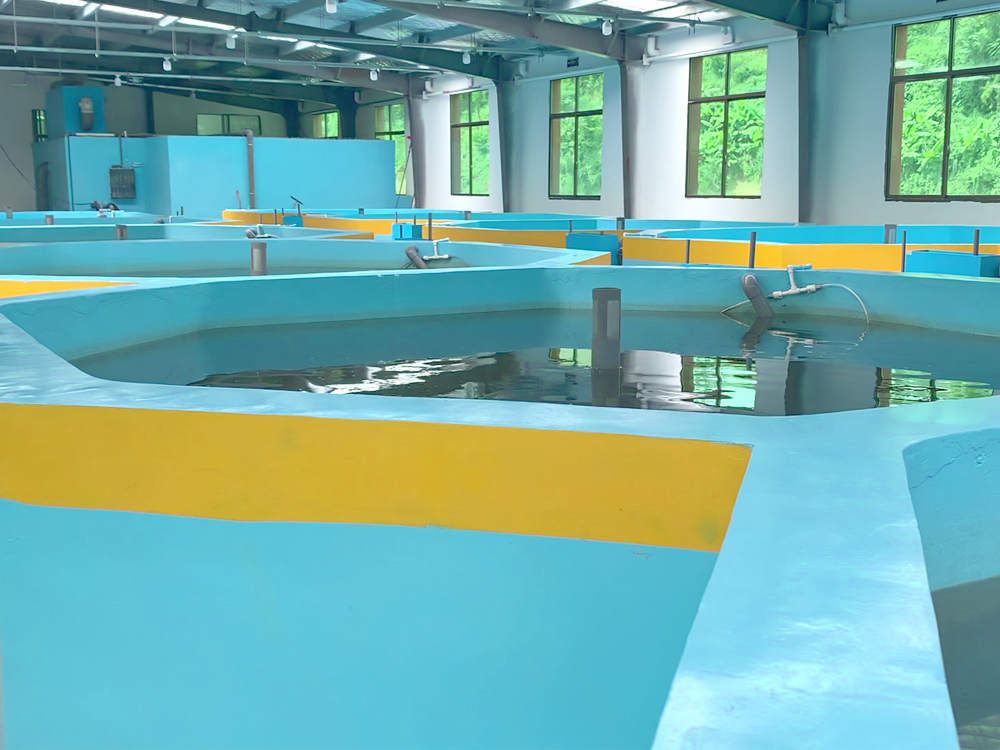 貴州三穗- 淡水魚(yú)類(lèi) - 淡水