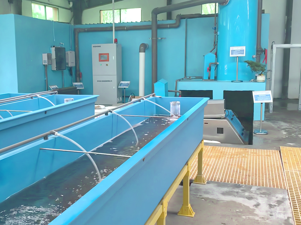 貴州三穗- 淡水魚(yú)類(lèi) - 淡水