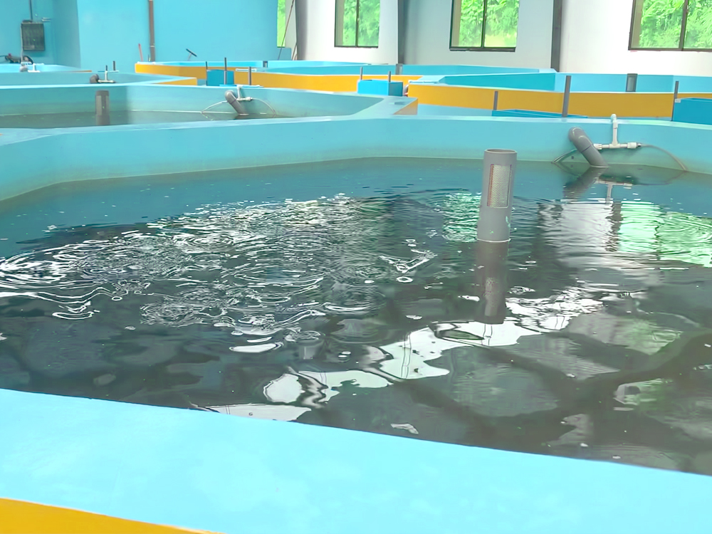 貴州三穗- 淡水魚(yú)類(lèi) - 淡水