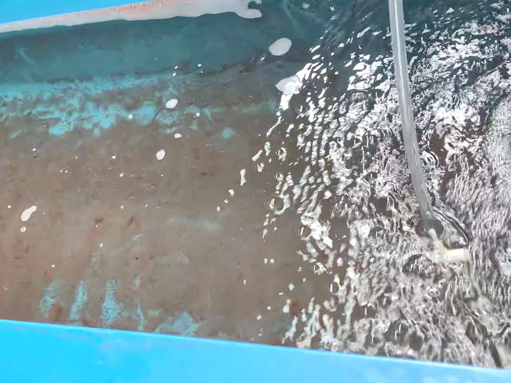 貴州三穗- 淡水魚(yú)類(lèi) - 淡水