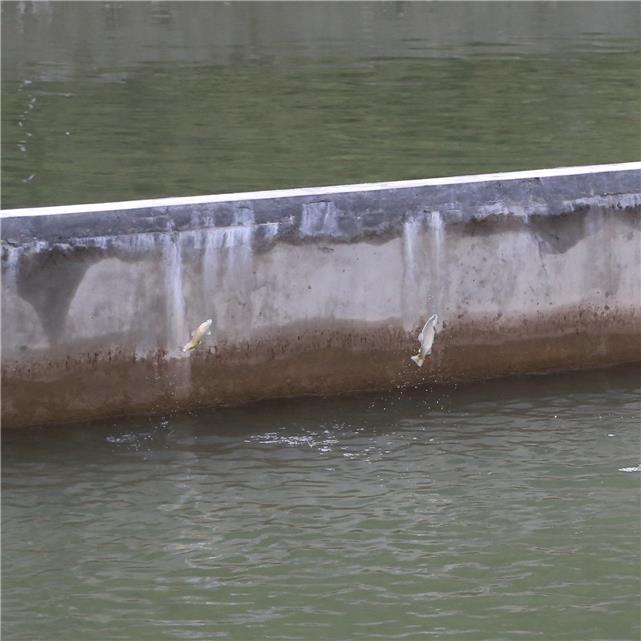 1600222800369695.jpg 1600222800369695.jpg